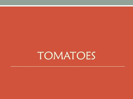 TOMATOES. 1. What are the difficulties associated with providing fresh tomatoes year-round in most areas in GN? 2. What factors affect a reliance on tomatoes.