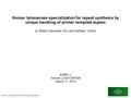 Human telomerase specialization for repeat synthesis by unique handling of primer ‐ template duplex by Robert Alexander Wu, and Kathleen Collins EMBO J.