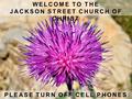 WELCOME TO THE JACKSON STREET CHURCH OF CHRIST PLEASE TURN OFF CELL PHONES.