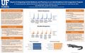 Impact of Integrating Family Medicine and Pharmacy in an Interdisciplinary Anti-Coagulation Program B. Timothy Kodsi M.D., Michael Machek M.D., Keiran.