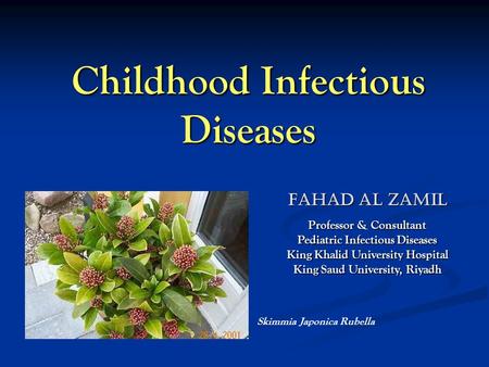 Childhood Infectious Diseases Skimmia Japonica Rubella FAHAD AL ZAMIL Professor & Consultant Pediatric Infectious Diseases King Khalid University Hospital.