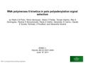 RNA polymerase II kinetics in polo polyadenylation signal selection by Pedro A B Pinto, Telmo Henriques, Marta O Freitas, Torcato Martins, Rita G Domingues,