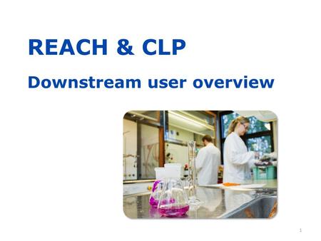 REACH & CLP Downstream user overview 1. Purpose of this presentation  2 This presentation, with notes, was prepared by.