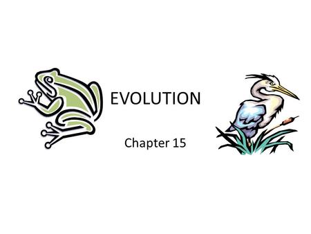 EVOLUTION Chapter 15. Charles Darwin The variety of living things… BIOLOGICAL DIVERSITY.