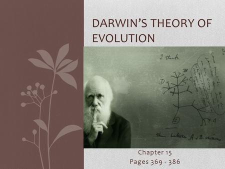 Chapter 15 Pages 369 - 386 DARWIN’S THEORY OF EVOLUTION.