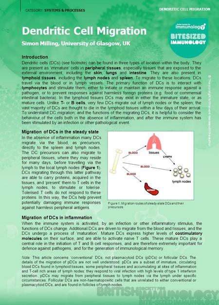 CATEGORY: SYSTEMS & PROCESSES Dendritic Cell Migration Simon Milling, University of Glasgow, UK DENDRITIC CELL MIGRATION Migration of DCs in the steady.