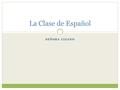 SEÑORA LIZANO La Clase de Español. About the Teacher My Family My Background  Grew up in Bronx, NY  Attended  DeWitt Clinton HS  Hamilton College.