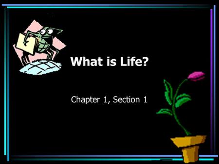 What is Life? Chapter 1, Section 1. Organism Any living thing Some are unicellular Some are multicellular.