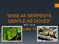 “WISE AS SERPENTS, GENTLE AS DOVES” MTT. 10:16 Luke 16 LUKE 16.