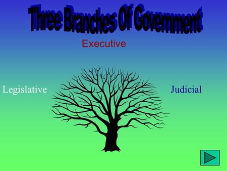 Executive LegislativeJudicial In the United States of America, a democracy, a system of checks and balances makes sure that no one branch of government.