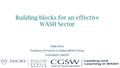 Building blocks for an effective WASH Sector Eddy Perez Professor of Practice in Global WASH, Emory Consultant, UNICEF.