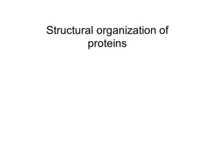 Structural organization of proteins