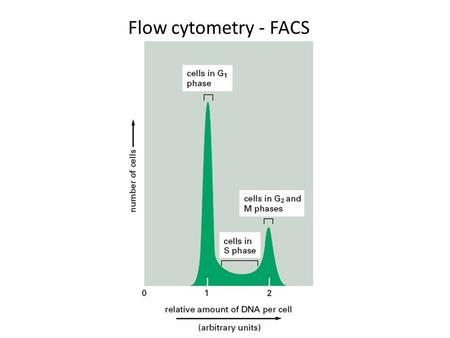 Flow cytometry - FACS. Cell Cycle (reminder) Life is made of cells Cells come from cells Life/Cells reproduce.