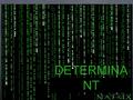 DETERMINA NT. Adjoint Matrix – Minors and Cofactors  The adjoint matrix of [A], Adj[A] is obtained by taking the transpose of the cofactor matrix of.