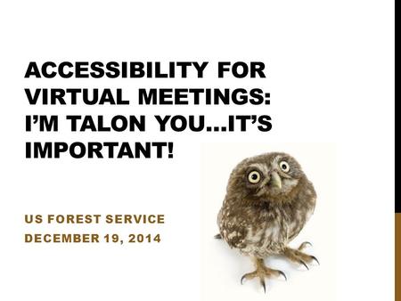 ACCESSIBILITY FOR VIRTUAL MEETINGS: I’M TALON YOU…IT’S IMPORTANT! US FOREST SERVICE DECEMBER 19, 2014.