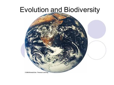 Evolution and Biodiversity. Summary of Evolution of Life CHARLES DARWIN TOOK HIS TRIP TO THE GALAPAGOS ISLANDS.