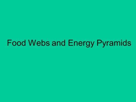 Food Webs and Energy Pyramids