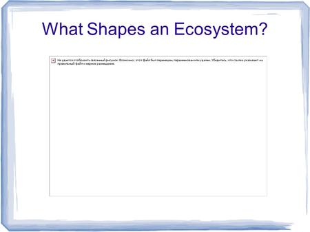 What Shapes an Ecosystem?. Biotic and Abiotic Factors Biotic factors - all of the living organisms that inhabit an environment.