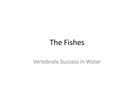 The Fishes Vertebrate Success in Water. Evolutionary Perspective Primitive Fishes can be traced back 530 million years ago Hagfish are the most primitive.