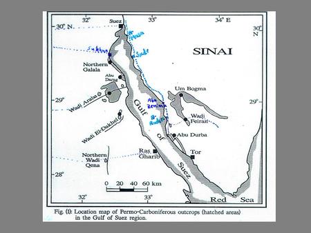 2. The Palaeozoic outcrops of north Eastern Desert.