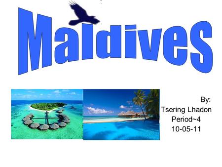 By: Tsering Lhadon Period~4 10-05-11. Travel Maldives is a place surrounded by water. So in order to get there, I would first take an airplane. And when.