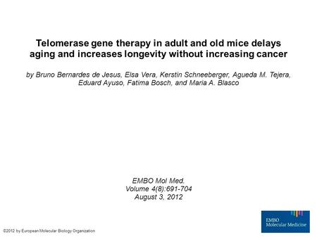 Telomerase gene therapy in adult and old mice delays aging and increases longevity without increasing cancer by Bruno Bernardes de Jesus, Elsa Vera, Kerstin.