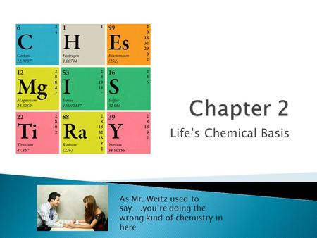 Life’s Chemical Basis As Mr. Weitz used to say….you’re doing the wrong kind of chemistry in here.