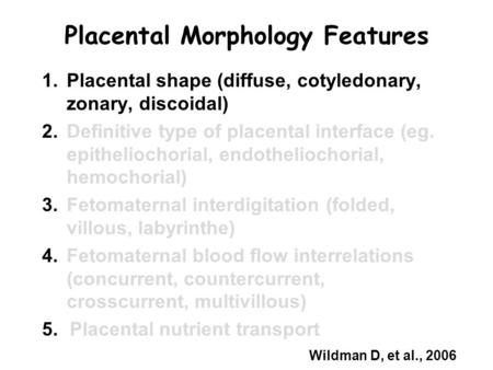 Placental Morphology Features