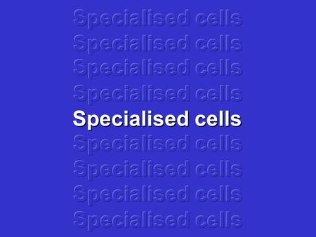 Specialised cells Do all cells look the same? Most cells have three basic parts: nucleus cytoplasm cell membrane But cells can be different shapes and.