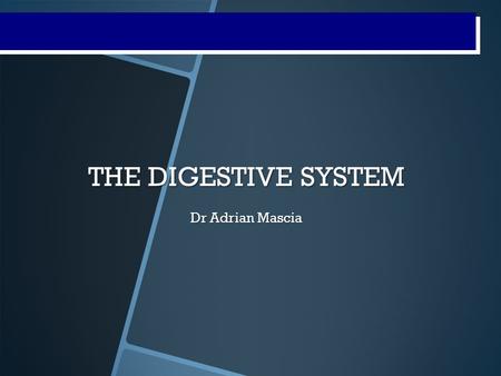 Digestive System Processes THE DIGESTIVE SYSTEM Dr Adrian Mascia.