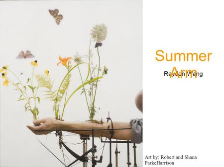 Rayden Wang Summer Arm Art by: Robert and Shana ParkeHarrison.