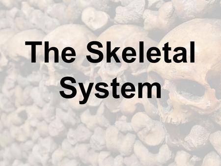 The Skeletal System. Functions of the Skeletal System Supports and protects the body. Allows the body to move. Produces red blood cells. Stores minerals.