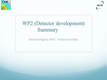 WP2 (Detector development) Summary Gabriella Pugliese INFN – Politecnico of Bari.