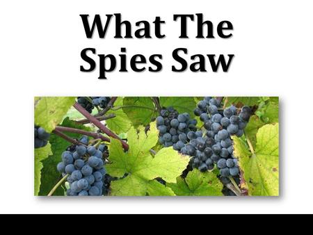 What The Spies Saw. Numbers 13:1-2 “And the Lord spoke to Moses, saying, ‘Send men to spy out the land of Canaan, which I am giving to the children of.