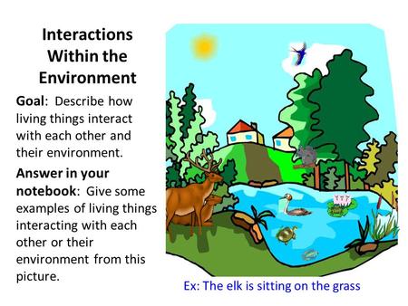 Interactions Within the Environment Goal: Describe how living things interact with each other and their environment. Answer in your notebook: Give some.