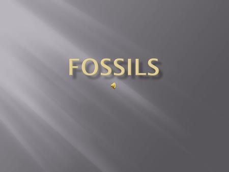 Fossils are the preserved remains of plants and animals that lived millions of years ago.