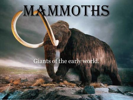 MAMMOTHS Giants of the early world.. Characteristics and short facts of the mammoth. Mammoth were extinct elephant-like animals. These massive herbivores.