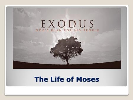 The Life of Moses. Exodus – Outline 1:1-2:25The Setting: Growth and Oppression of Israel in Egypt 3:1-6:27The Call and Commissioning of Moses 6:28-15:21The.