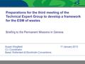 Preparations for the third meeting of the Technical Expert Group to develop a framework for the ESM of wastes Briefing to the Permanent Missions in Geneva.