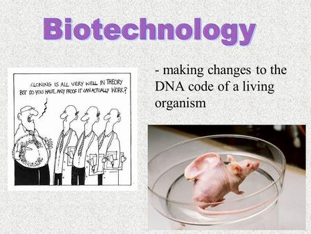 - making changes to the DNA code of a living organism.