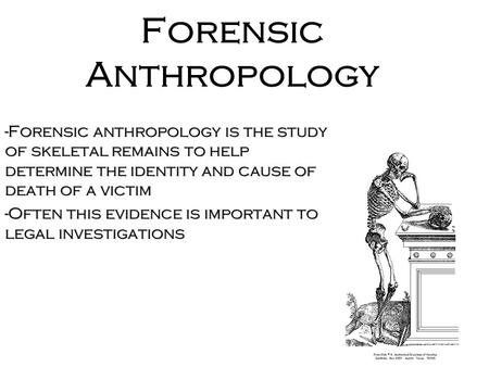 Forensic Anthropology