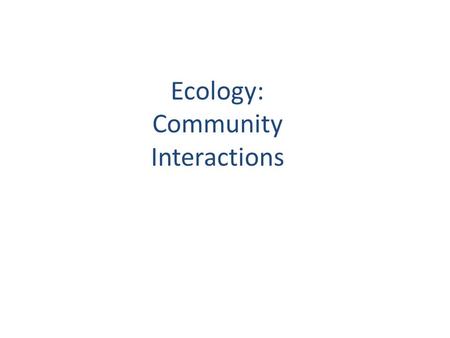 Ecology: Community Interactions. Food Web Notes/2.0: Energy and feeding relationships! Terms to know…..