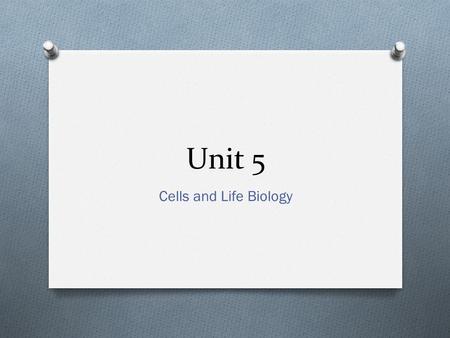 Unit 5 Cells and Life Biology. I. Levels of Organization a. Elements and Atoms i. Atoms are the smallest building blocks of our world ii. An element is.