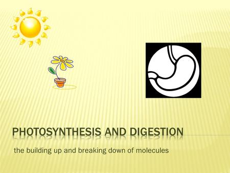 The building up and breaking down of molecules. 6CO 2 + 6H 2 O (+ light energy)  C 6 H 12 O 6 + 6O 2 Carbon Dioxide and Water are COMBINED using light.