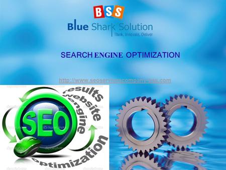 SEARCH ENGINE OPTIMIZATION