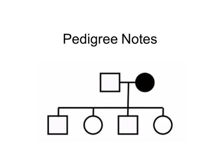 Pedigree Notes.