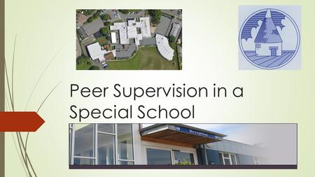 Peer Supervision in a Special School. Our Search for a Staff Support Model.