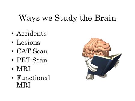 Ways we Study the Brain Accidents Lesions CAT Scan PET Scan MRI Functional MRI.