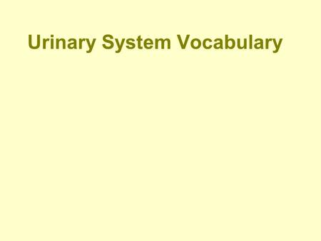 Urinary System Vocabulary Catheterization The process of inserting a flexible tube into a body cavity, such as the urinary tract, for the purpose of.