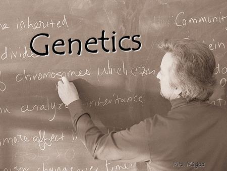 { Genetics Mrs. Magee. Why do we look like our parents?  Parents pass their DNA to their children  Each parent’s sex cell (egg or sperm) contains ½.